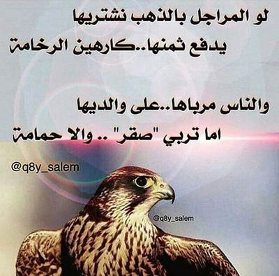 ghghjkkhjkjhk's profile picture. ‏‏الطيب يبغي له وقوفٍ على طول
ماهو يحب اللي يرخي آشقاقه
،
ياعوين من يمشي مع الناس مجهول
ماله مع زحول النشامى بطاقه
'
 ‏