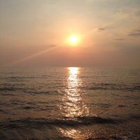Gold (@onlinegoldwork1) 's Twitter Profile