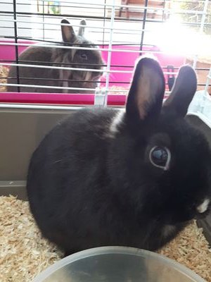 sarahculte's profile picture. 