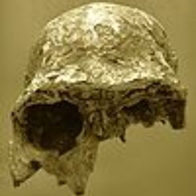 delusionbuster's profile picture. Atheist - Humanist - Realist