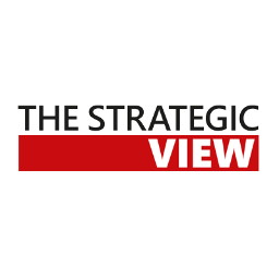 The Strategic View Profile