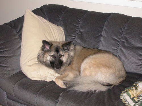 kimhv's profile picture. 