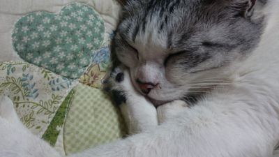 ㍉さんのプロフィール画像