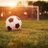 _GCSoccer's profile image