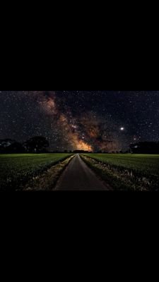 Elixiti's profile picture. Work harder