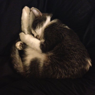 not_honey's profile picture. 