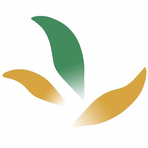 Empresa internacional, tendo como sócio-diretora a Profa. Dra. Celina Ramalho da FGV-SP, com clientes nas áreas pública, privada e no terceiro setor.