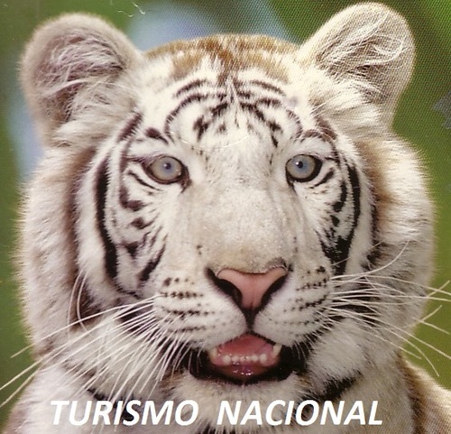 camboriuturismo's profile picture. 