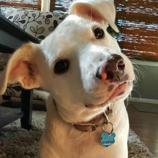 maRahRahRah's profile picture. 