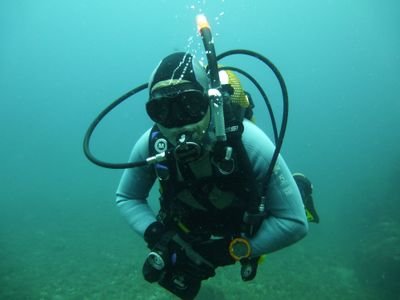 JoseMor92478069's profile picture. 