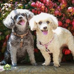 Linda_D_Mueller's profile picture.