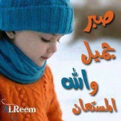 GGkpIijTVt3Dffh's profile picture. 