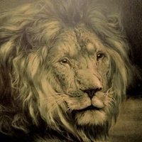 Ralphspic (@ralphspic_) 's Twitter Profile