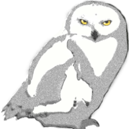 PolarAurora1's profile picture. 