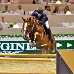 fofovitiello's profile picture. 