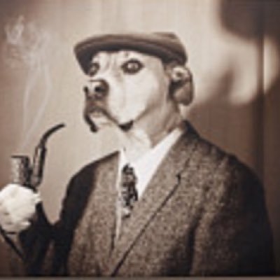 gcliftonbee's profile picture. 