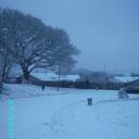 Fiona Tobin - @snarua - Twitter