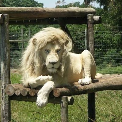 werve83's profile picture. 