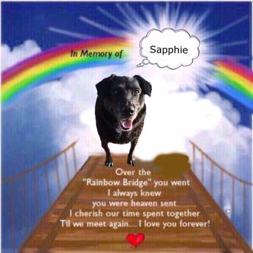 RIP #SapphieDog LuvU