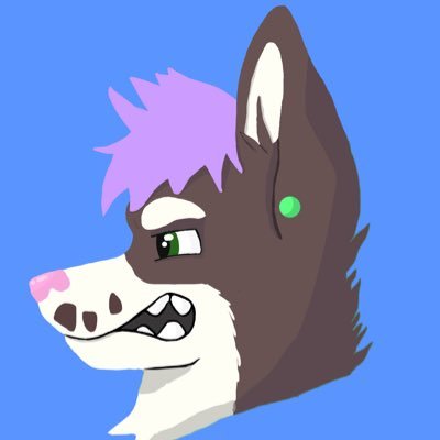 grumpy_trixxy's profile picture. I'm just a grumpy canine who eventually warms up to people. Give me some time and I'll be your best friend. Piss me off and I'll be your worst nightmare.