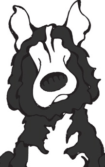 The Ineka Project is a service dog training organization in Denver, CO
