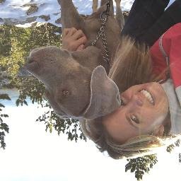 jules_elders's profile picture. 