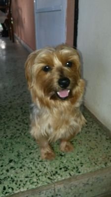 DoloresIrizarry's profile picture. 