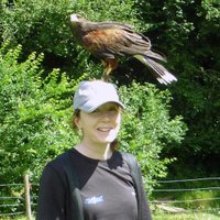 Kura Carpenter (@kuracarpenter) 's Twitter Profile