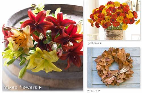 grajitham's profile picture. 