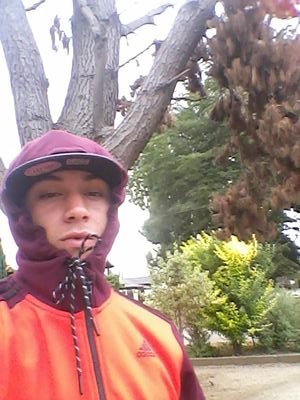 HeraldoCo's profile picture. 