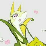 ShyYetStrict's profile picture. 《Nature: Silent, Shy | Gender: Female》
❝Silence makes the world very peaceful. . .❞