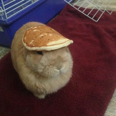 Alertings's profile picture. Security, is that a joke?