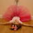KickDance's profile image