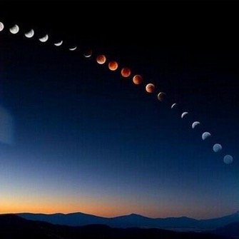 sebastt1an's profile picture. TIME magazine's Person of the Year 2006.