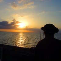 David Loves To Fish (@hunting4fishes2) 's Twitter Profile