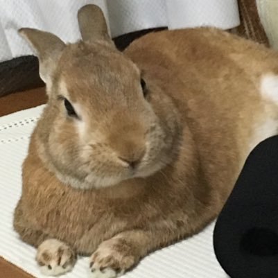 darkbluezerouc's profile picture. クソ会社のくそ社長にイラついている毎日です💢_(:3」z)_ 映画の感想をたまに呟きたい…