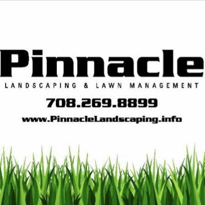 __Pinnacle__'s profile picture. 