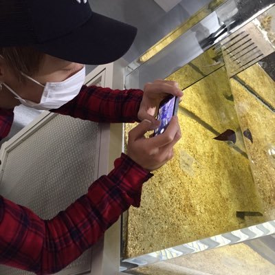 tooooooya1's profile picture. 