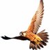 GCF (@goteborgcorp) Twitter profile photo GCF (@goteborgcorp) Twitter profile photo