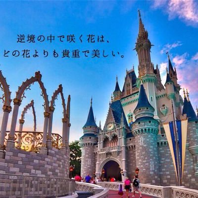 ✨ディズニーの名言を定期的にツイートしていきます！✨ ディズニー好きの方ぜひフォローを！✨ リツイート&ファボよろしくお願いします！✨