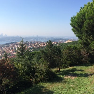 Najla_Alqwairy's profile picture. 