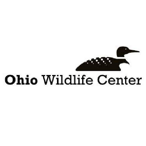 Central Ohio’s nonprofit resource for wildlife rehabilitation, education and wildlife health studies.
https://t.co/ynZqvo7iSc