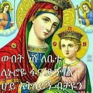 SintayhuTigistu's profile picture. 