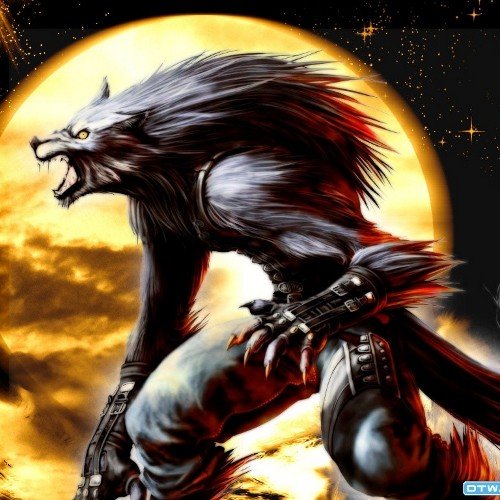 LucioChocobar's profile picture. 