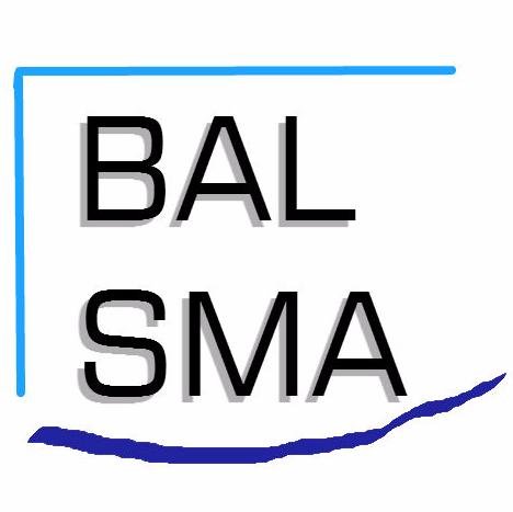 BALSMA1's profile picture. 【車歴】：インプレッサGC8 Ver6 → メルセデスW204 → インプレッサS204 ＆ Polo Blue GT 。＋インプレッサG4（GJ3 MT）【マイクロフォーサーズ歴】：LumixＧ7 + G8 + G100 + G9 Mk2 です。 宜しくお願い致します。