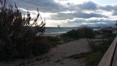 nialpolis's profile picture. Deportes, amigos, familia