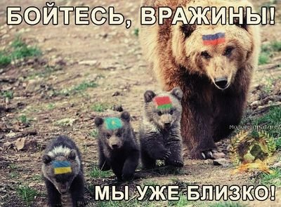 pycmama's profile picture. 