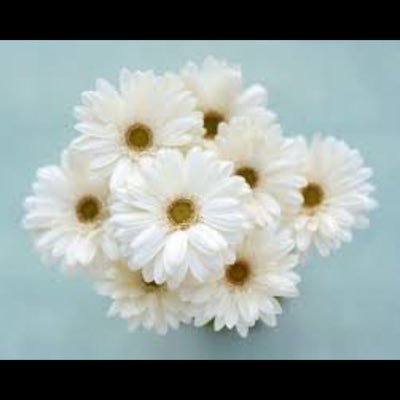 xx19771's profile picture. اذا عزمت على فعل ذنب فانظر الى عقوبته فإن كنت قادر على تحمل العقوبه فافعل