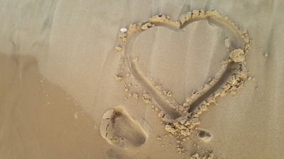 53219e36e1f942b's profile picture. 