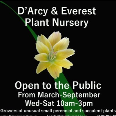 We are a family run nursery, growing all our own stock of unusual alpine and specialist plants for over 25 years